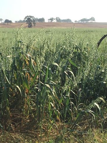 29266 Dry Creek Rd, Galt, CA 95632