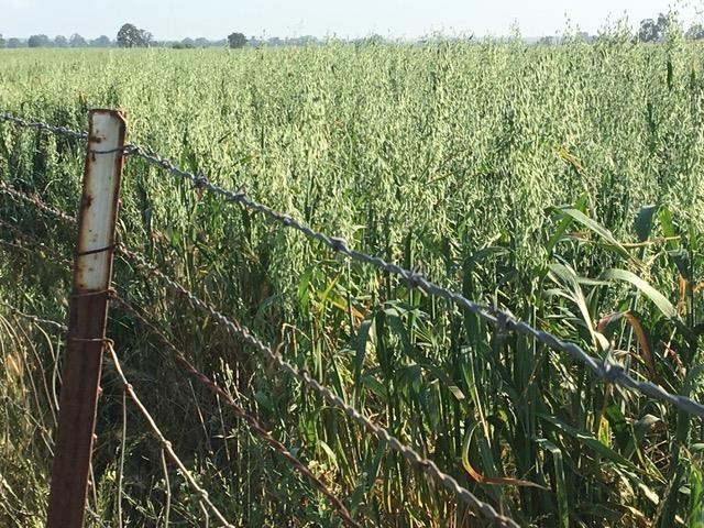 29266 Dry Creek Rd, Galt, CA 95632