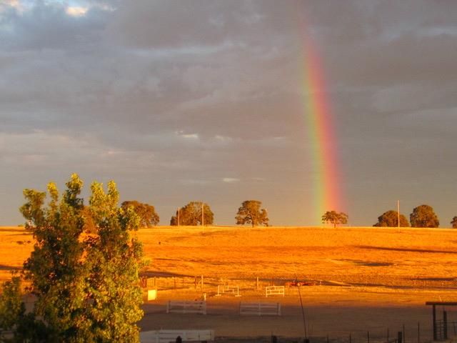 29266 Dry Creek Rd, Galt, CA 95632