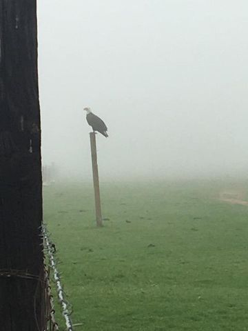 29266 Dry Creek Rd, Galt, CA 95632