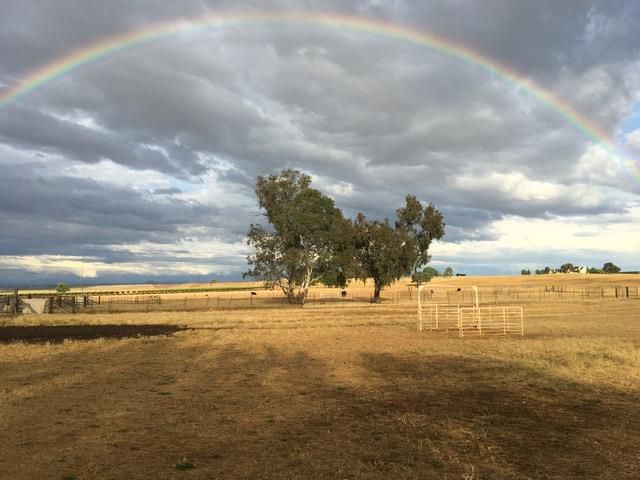 29266 Dry Creek Rd, Galt, CA 95632