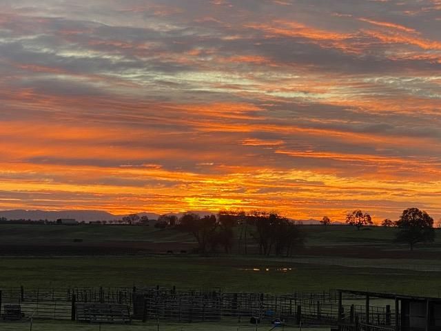 29266 Dry Creek Rd, Galt, CA 95632