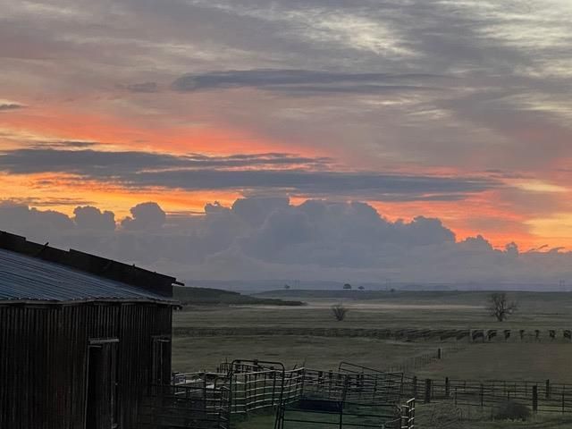 29266 Dry Creek Rd, Galt, CA 95632