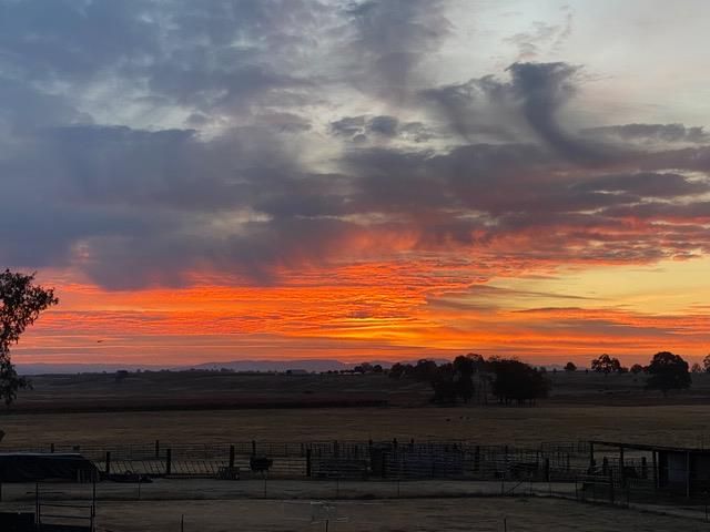 29266 Dry Creek Rd, Galt, CA 95632