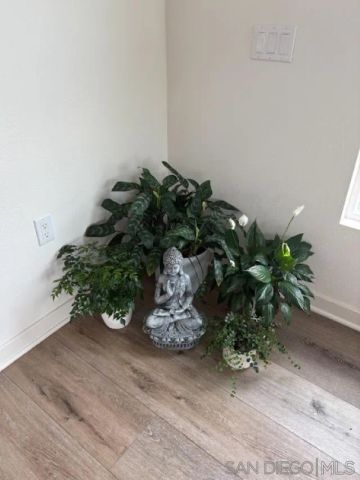 2675 Roosevelt St, Carlsbad, CA 92008
