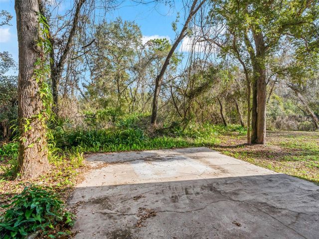 11398 CR 682, Webster, FL 33597