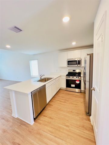 27142 River Birch Ridge Drive, Katy, TX 77493