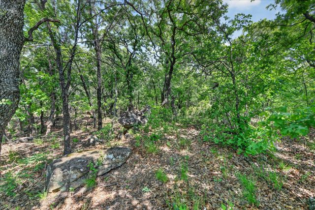 106 Ash Court, Runaway Bay, TX 76426