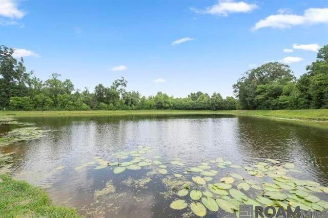 7728 Amite Springs Dr, Denham Springs, LA 70706