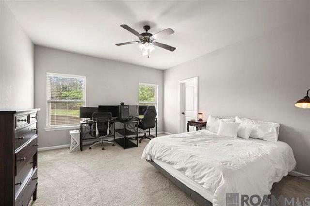 7728 Amite Springs Dr, Denham Springs, LA 70706