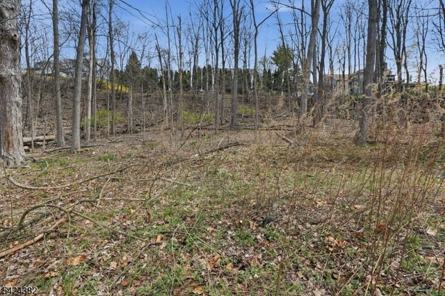 31 Saint Moritz Pl, Wayne Twp., NJ 07470