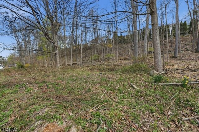 31 Saint Moritz Pl, Wayne Twp., NJ 07470