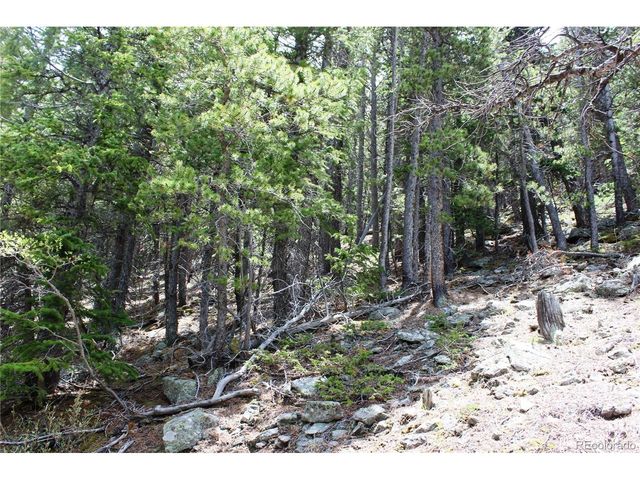 16564 Pennsylvania, Idaho Springs, CO 80461