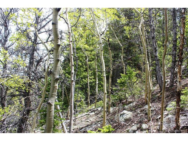 16564 Pennsylvania, Idaho Springs, CO 80461