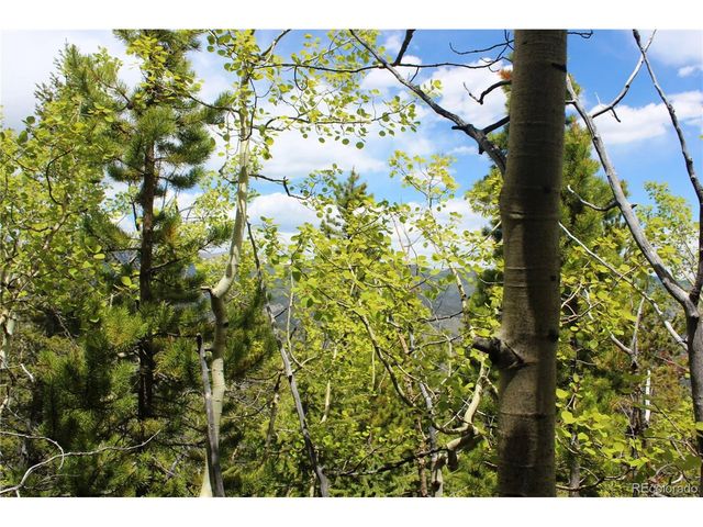 16564 Pennsylvania, Idaho Springs, CO 80461