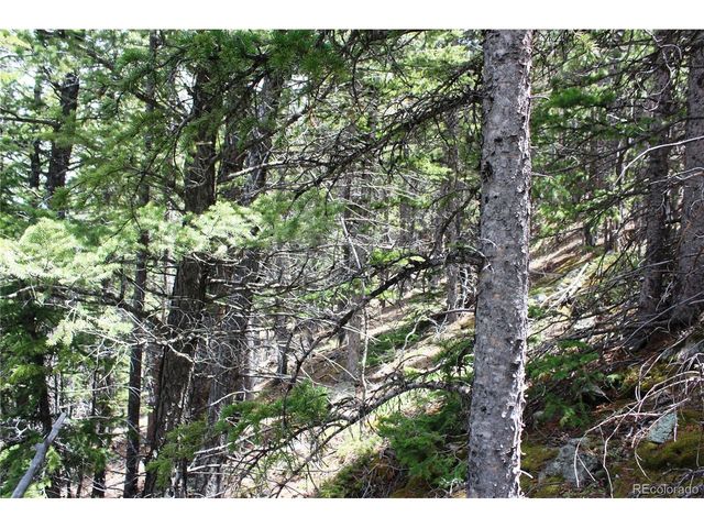 16564 Pennsylvania, Idaho Springs, CO 80461