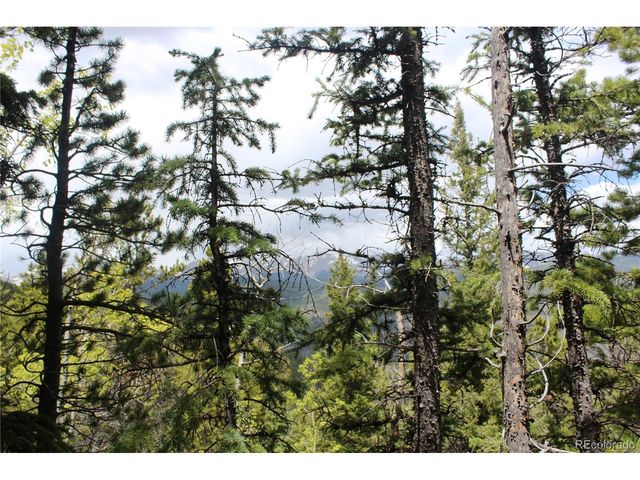 16564 Pennsylvania, Idaho Springs, CO 80461