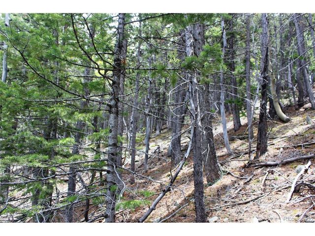 16564 Pennsylvania, Idaho Springs, CO 80461