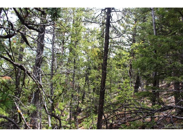 16564 Pennsylvania, Idaho Springs, CO 80461