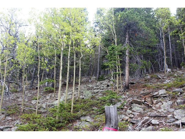 16564 Pennsylvania, Idaho Springs, CO 80461