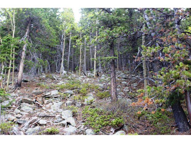 16564 Pennsylvania, Idaho Springs, CO 80461