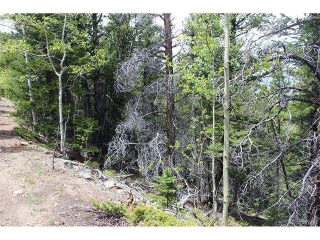 16564 Pennsylvania, Idaho Springs, CO 80461