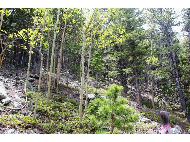 16564 Pennsylvania, Idaho Springs, CO 80461