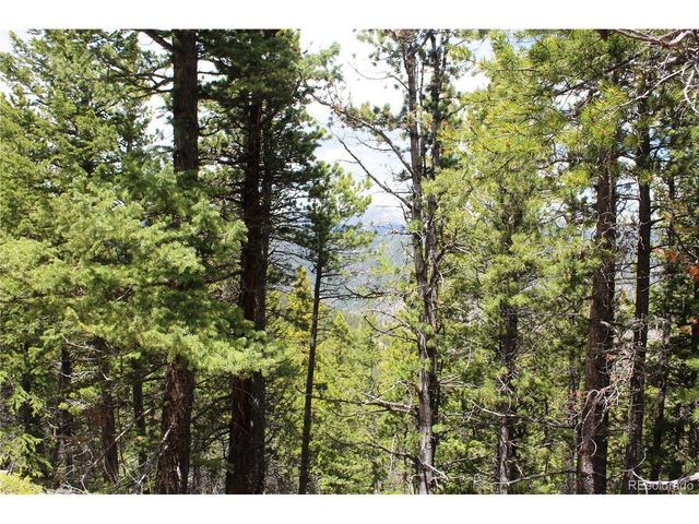 16564 Pennsylvania, Idaho Springs, CO 80461