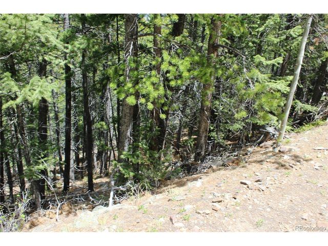 16564 Pennsylvania, Idaho Springs, CO 80461