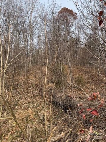 00 Yancey Road, Marion, NC 28752