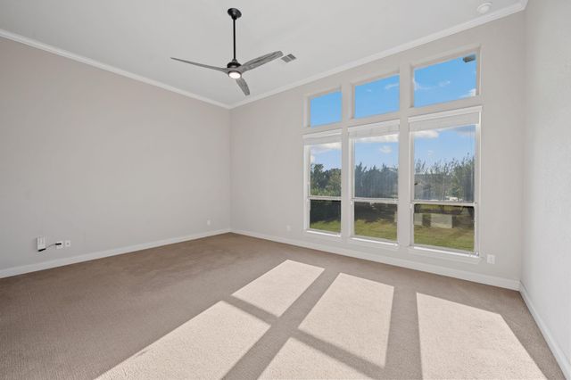 917 Coolabah Ave, New Braunfels, TX 78132