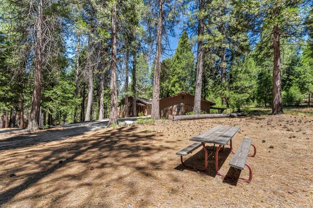 27879 State Highway 88, Pioneer, CA 95666
