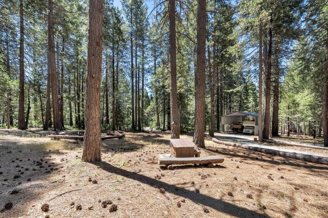 27879 State Highway 88, Pioneer, CA 95666