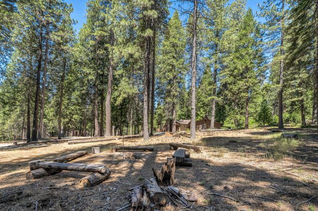27879 State Highway 88, Pioneer, CA 95666