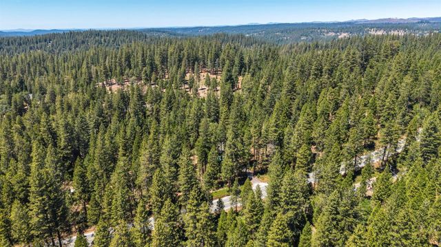 27879 State Highway 88, Pioneer, CA 95666