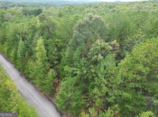 53 Skyline Drive, Braswell, GA 30153