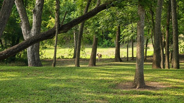 5202 Bessies Creek Trace, Fulshear, TX 77441