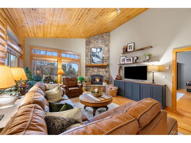 1366 Vagabond Creek Dr, Lake George, CO 80827