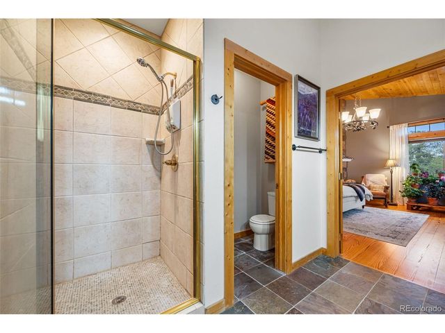1366 Vagabond Creek Dr, Lake George, CO 80827