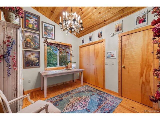 1366 Vagabond Creek Dr, Lake George, CO 80827