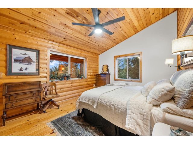 1366 Vagabond Creek Dr, Lake George, CO 80827