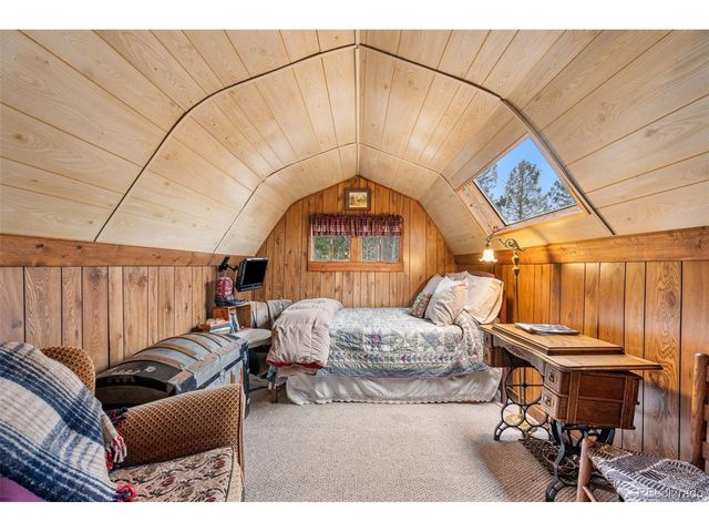 1366 Vagabond Creek Dr, Lake George, CO 80827