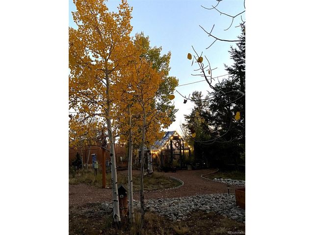 1366 Vagabond Creek Dr, Lake George, CO 80827