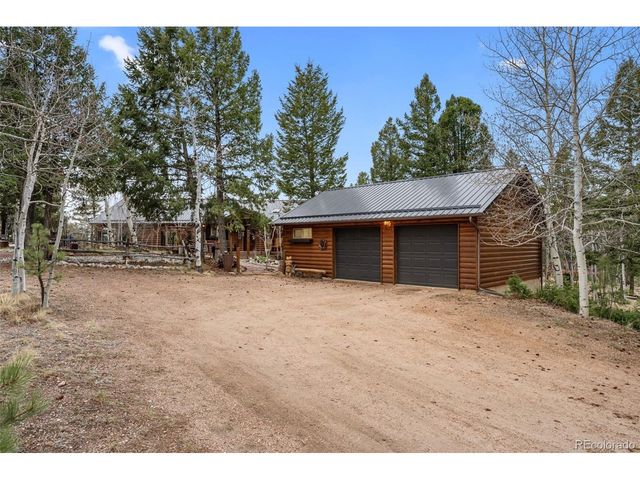 1366 Vagabond Creek Dr, Lake George, CO 80827