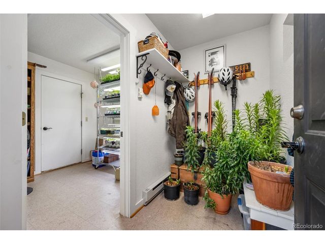 1366 Vagabond Creek Dr, Lake George, CO 80827