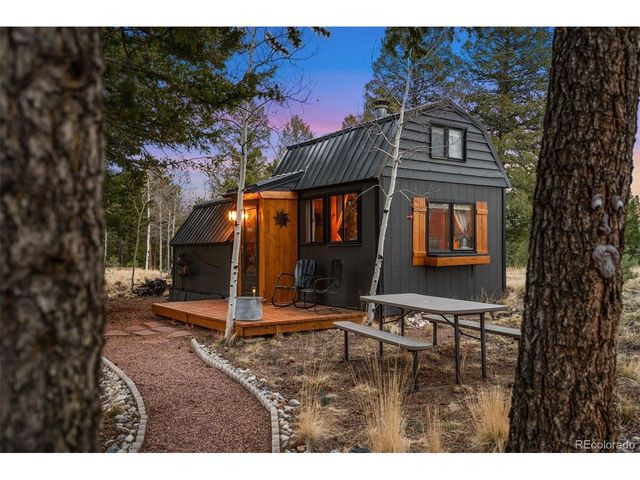 1366 Vagabond Creek Dr, Lake George, CO 80827