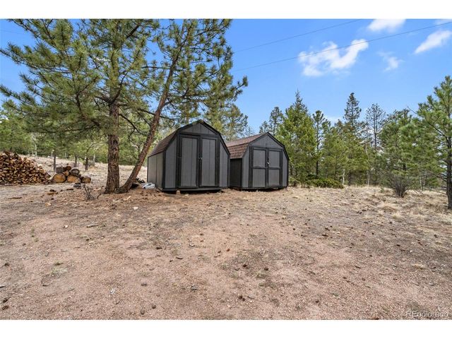 1366 Vagabond Creek Dr, Lake George, CO 80827