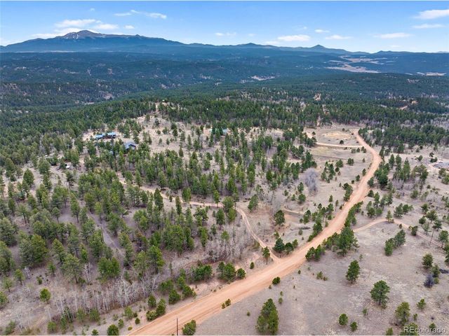 1366 Vagabond Creek Dr, Lake George, CO 80827