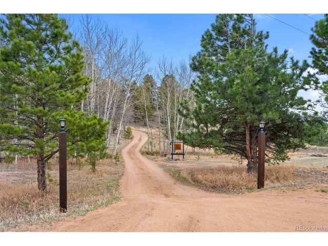 1366 Vagabond Creek Dr, Lake George, CO 80827