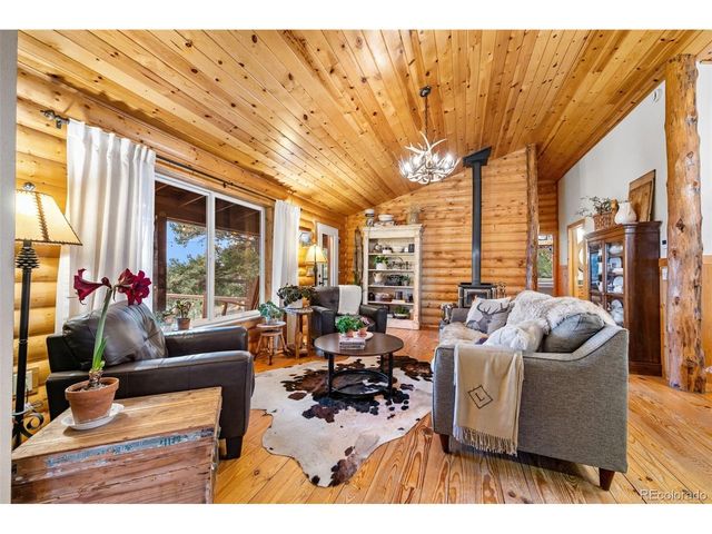 1366 Vagabond Creek Dr, Lake George, CO 80827